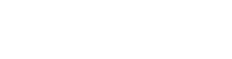 VisibleLLM Logo